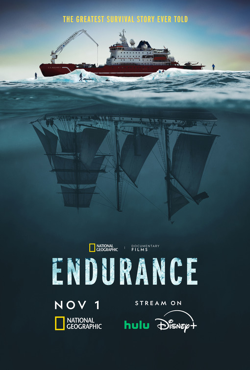 Pôster do filme Endurance