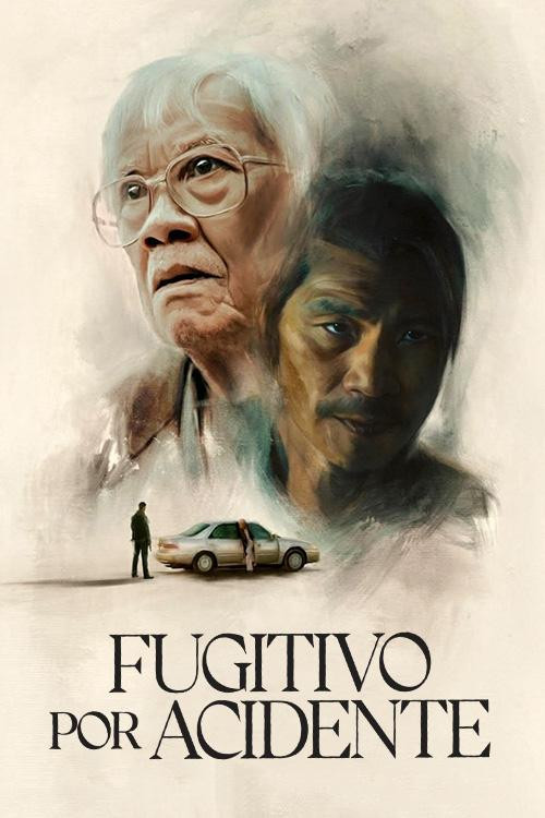 Visualizador - Fugitivo por Acidente