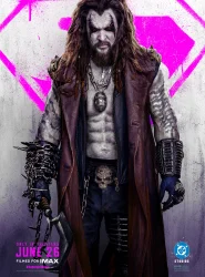 Poster 12