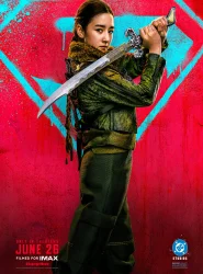 Poster 13