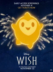 Poster 13