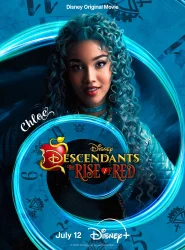 Poster 13
