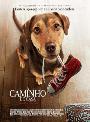 Tudo sobre A Caminho de Casa (2019): Sinopse, Trailer, Críticas e Onde Assistir