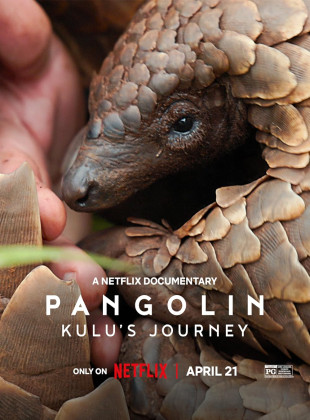 Pangolim: A Viagem de Kulu: Lançamento na Netflix em abril 2025 - Sinopse e Trailer