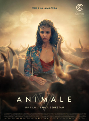 Animale: Lançamento Cinema em maio 2025 - Sinopse e Trailer