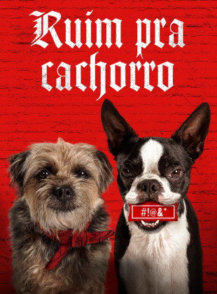 Ruim pra Cachorro: Lançamento na Netflix em junho 2025 - Sinopse e Trailer