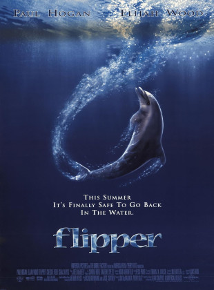 Tudo sobre Flipper (1996): Sinopse, Trailer, Críticas e Onde Assistir