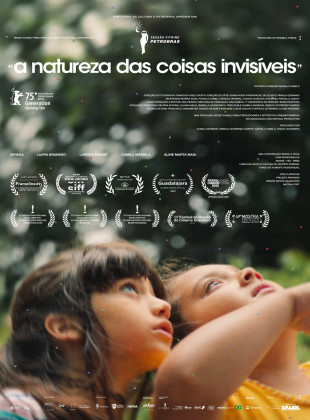 Poster oficial do filme A Natureza das Coisas Invisíveis (2025) - Capa HD