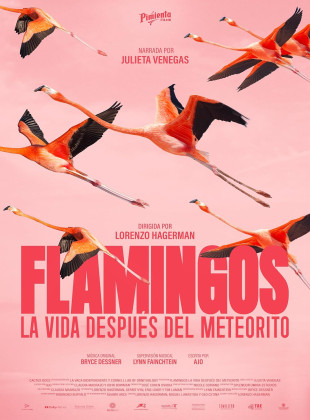 Flamingos: A Vida Depois do Meteorito: Lançamento na Netflix em julho 2026 - Sinopse e Trailer