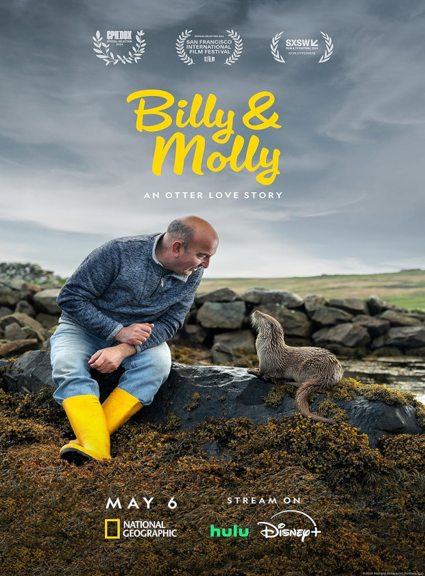 Visualizador - Billy e Molly