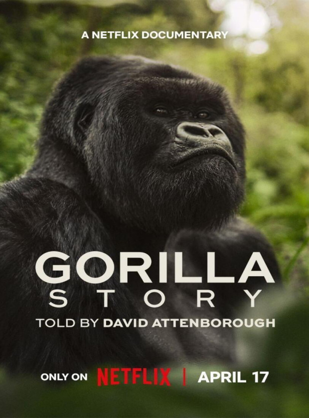 Visualizador - A História de Um Gorila com David Attenborough
