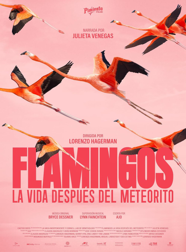 Visualizador - Flamingos: A Vida Depois do Meteorito