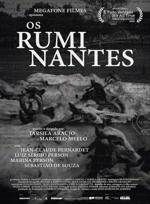 Visualizador - Os Ruminantes
