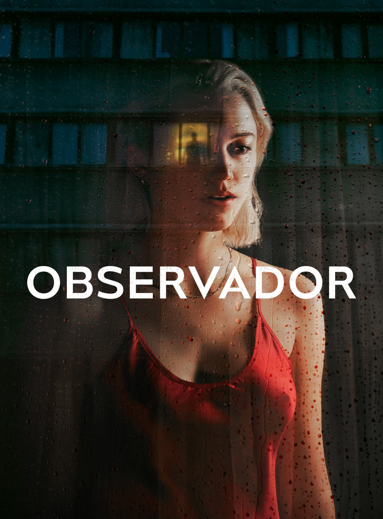 Visualizador - Observador