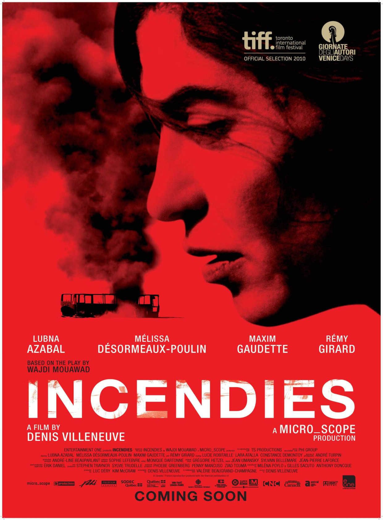 Visualizador - Incêndios