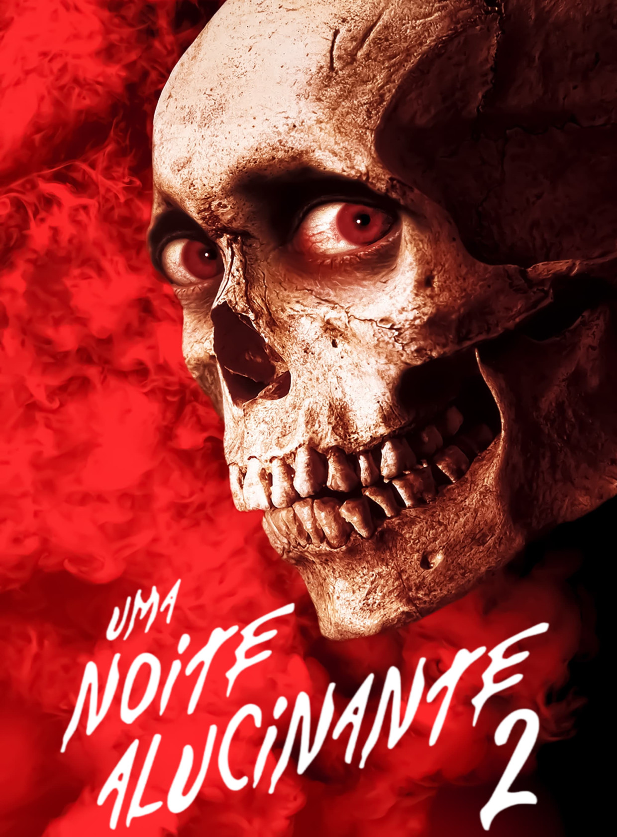 Visualizador - Uma Noite Alucinante 2