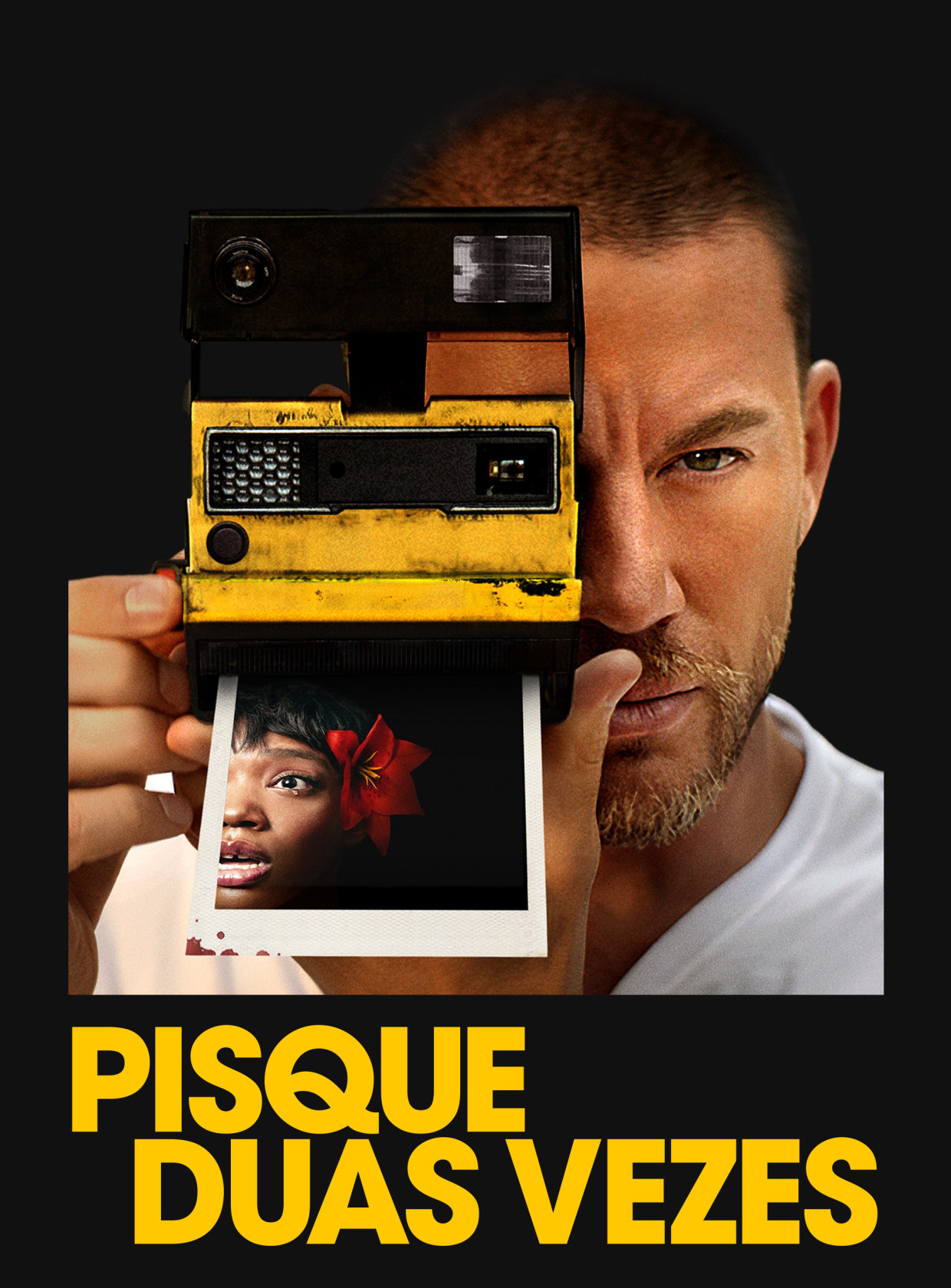 Visualizador - Pisque Duas Vezes