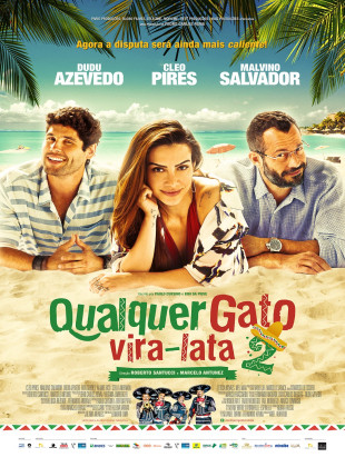 Qualquer Gato Vira-Lata 2 2015