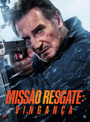 Pôster do filme Missão Resgate: Vingança