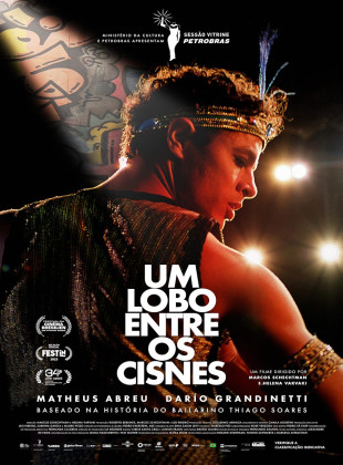 Um Lobo Entre os Cisnes 2024