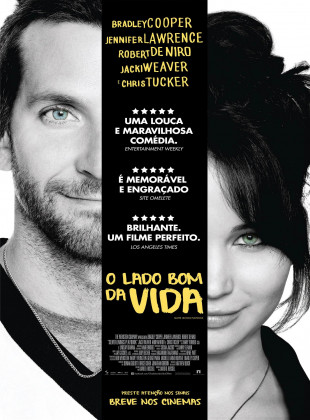 O Lado Bom da Vida 2012