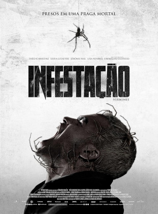 Infestação 2023